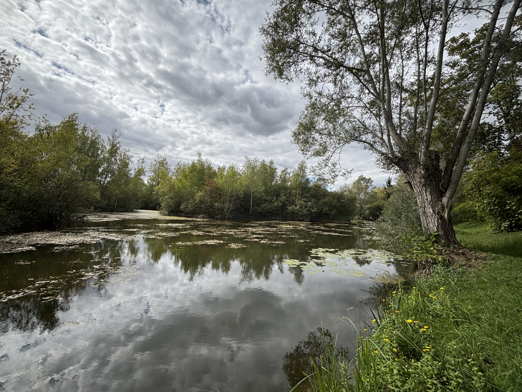 Immo80 – L'immobilier à Amiens et dans la Somme-TERRAIN DE LOISIRS DE PLUS DE 3 HECTARES À ARGŒUVES