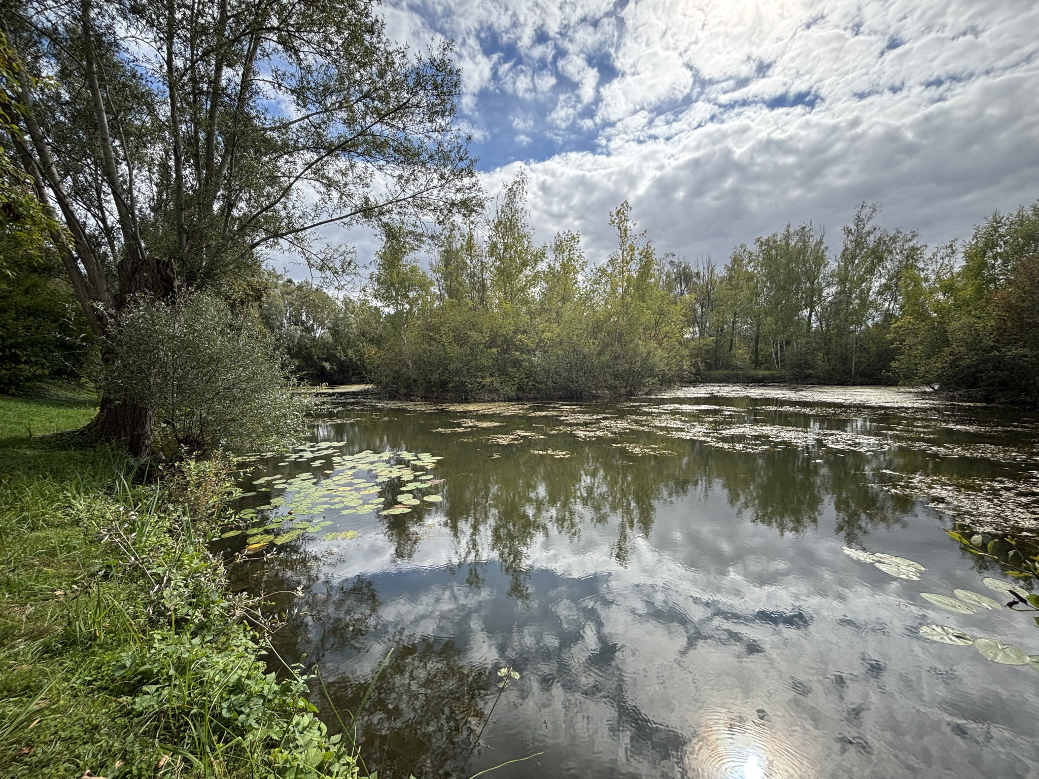 Immo80 – L'immobilier à Amiens et dans la Somme-TERRAIN DE LOISIRS DE PLUS DE 3 HECTARES À ARGŒUVES