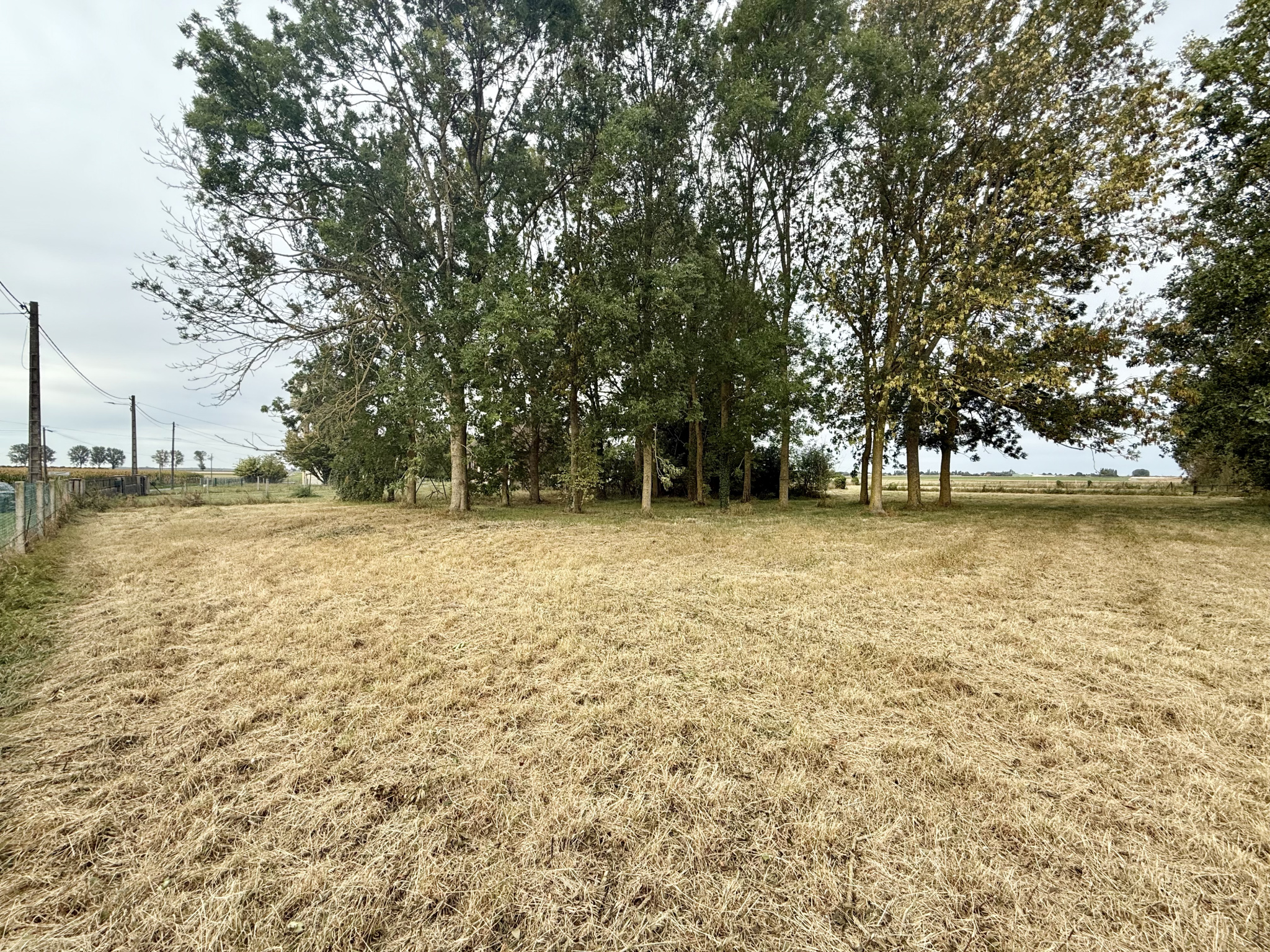 Immo80 – L'immobilier à Amiens et dans la Somme-PARVILLERS-LE-QUESNOY – TERRAIN A BATIR – 3653m2