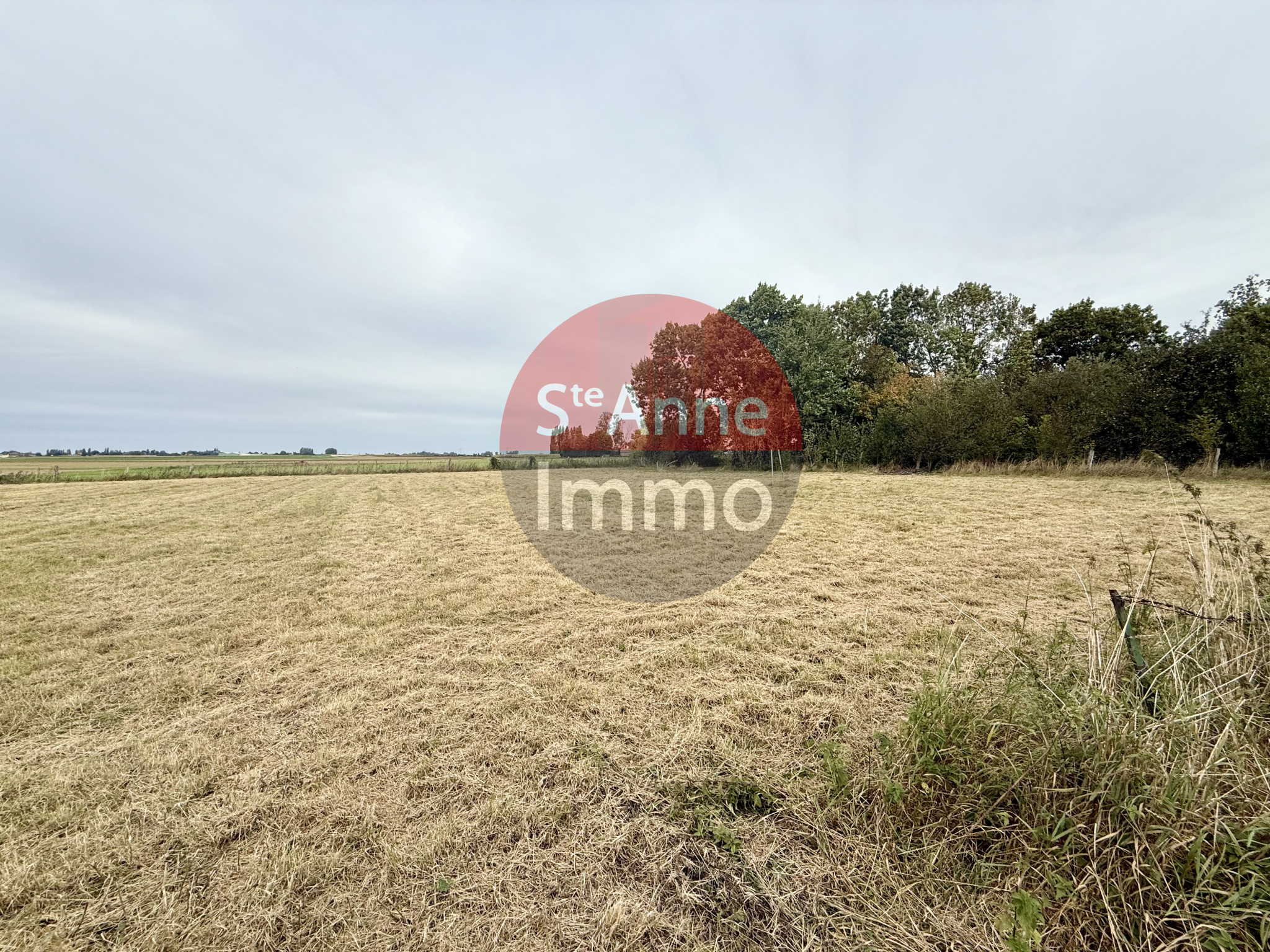 Immo80 – L'immobilier à Amiens et dans la Somme-PARVILLERS-LE-QUESNOY – TERRAIN A BATIR – 3653m2
