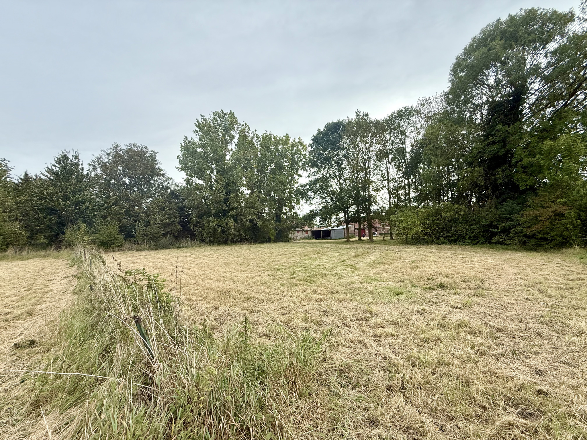 Immo80 – L'immobilier à Amiens et dans la Somme-PARVILLERS-LE-QUESNOY – TERRAIN A BATIR – 3653m2