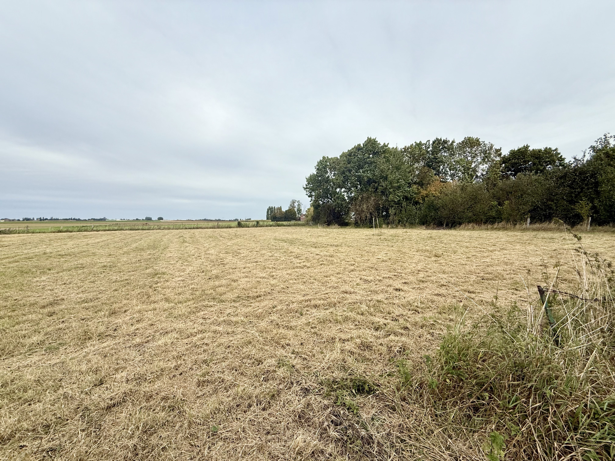 Immo80 – L'immobilier à Amiens et dans la Somme-PARVILLERS-LE-QUESNOY – TERRAIN A BATIR – 3653m2