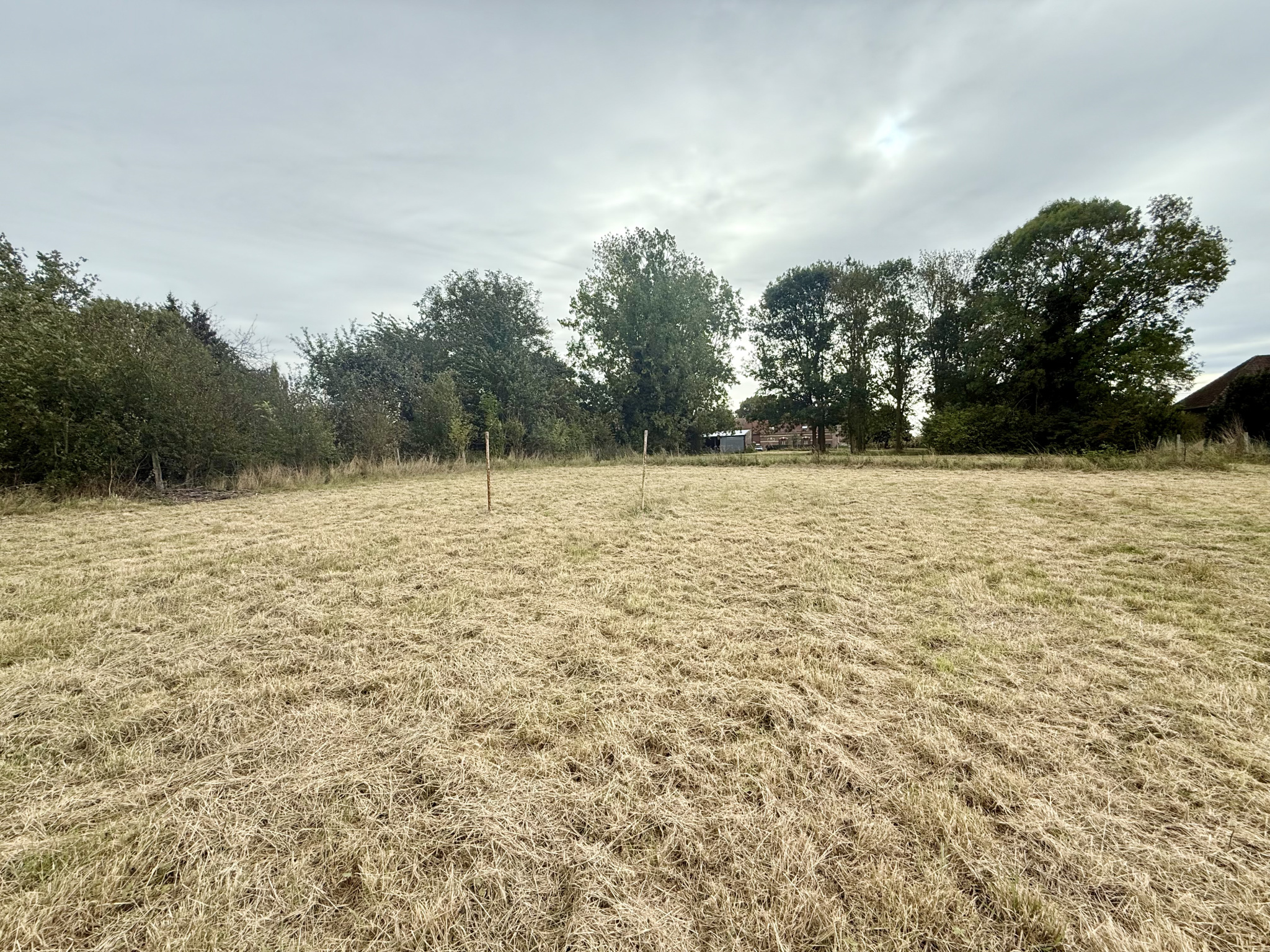 Immo80 – L'immobilier à Amiens et dans la Somme-PARVILLERS-LE-QUESNOY – TERRAIN A BATIR – 3653m2