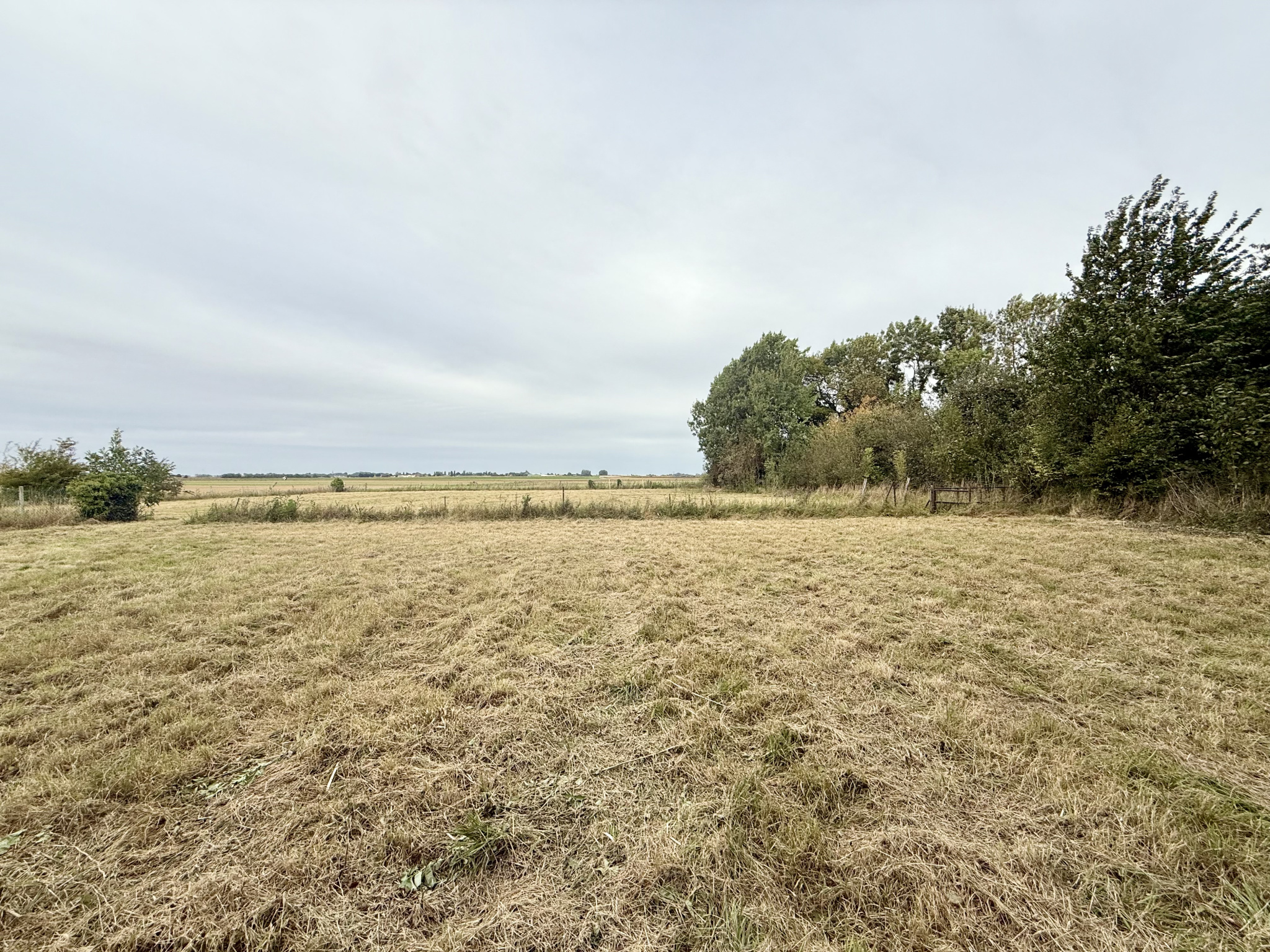 Immo80 – L'immobilier à Amiens et dans la Somme-PARVILLERS-LE-QUESNOY – TERRAIN A BATIR – 3653m2
