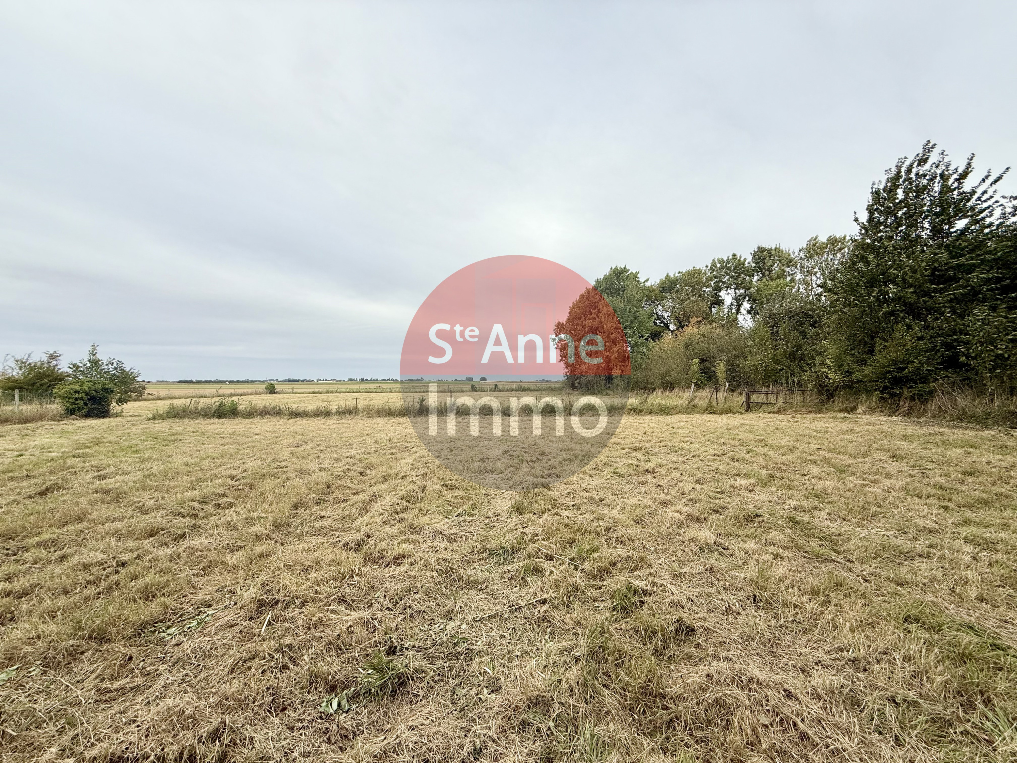 Immo80 – L'immobilier à Amiens et dans la Somme-PARVILLERS-LE-QUESNOY – TERRAIN A BATIR – 3653m2