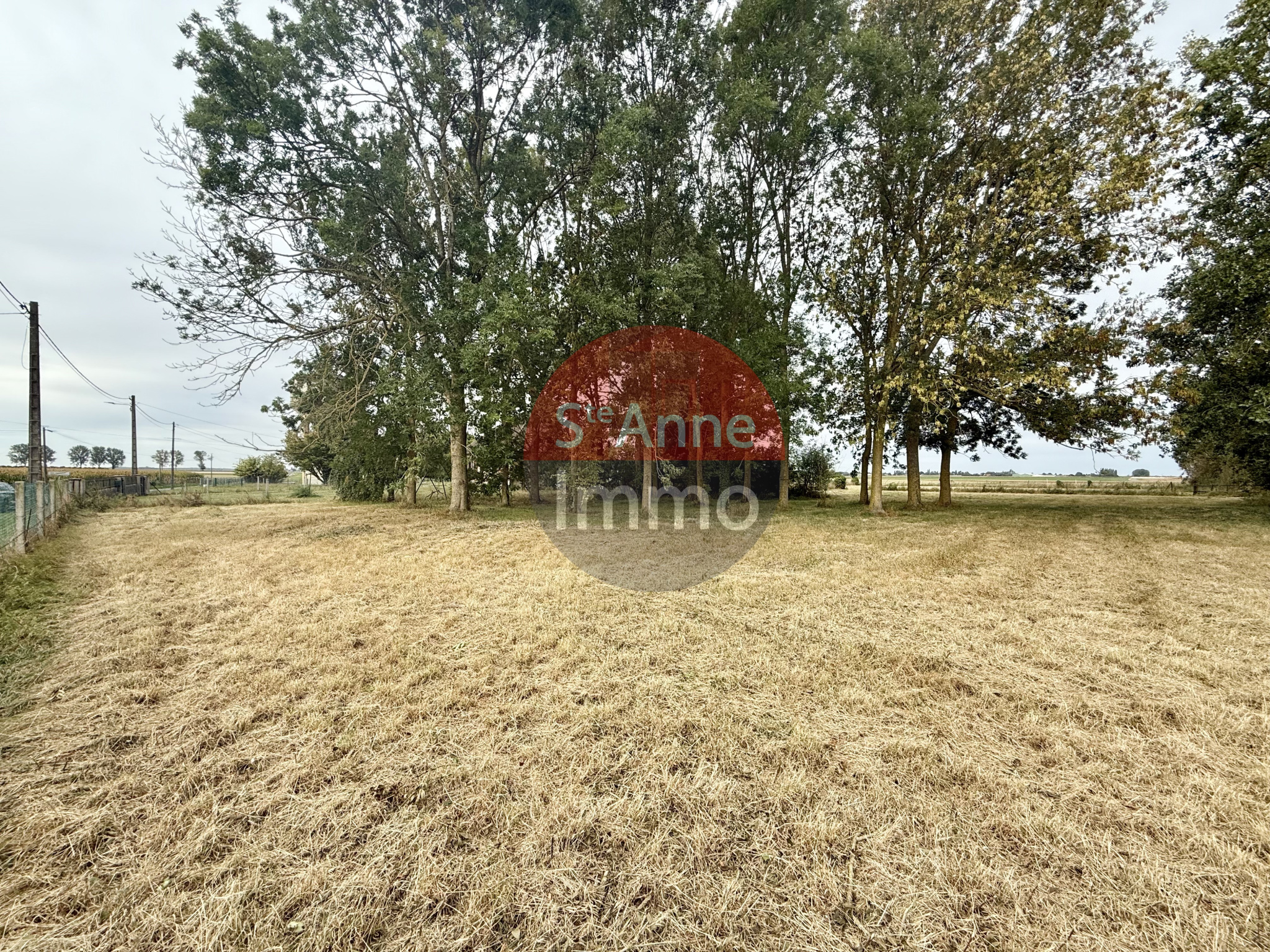 Immo80 – L'immobilier à Amiens et dans la Somme-PARVILLERS-LE-QUESNOY – TERRAIN A BATIR – 3653m2