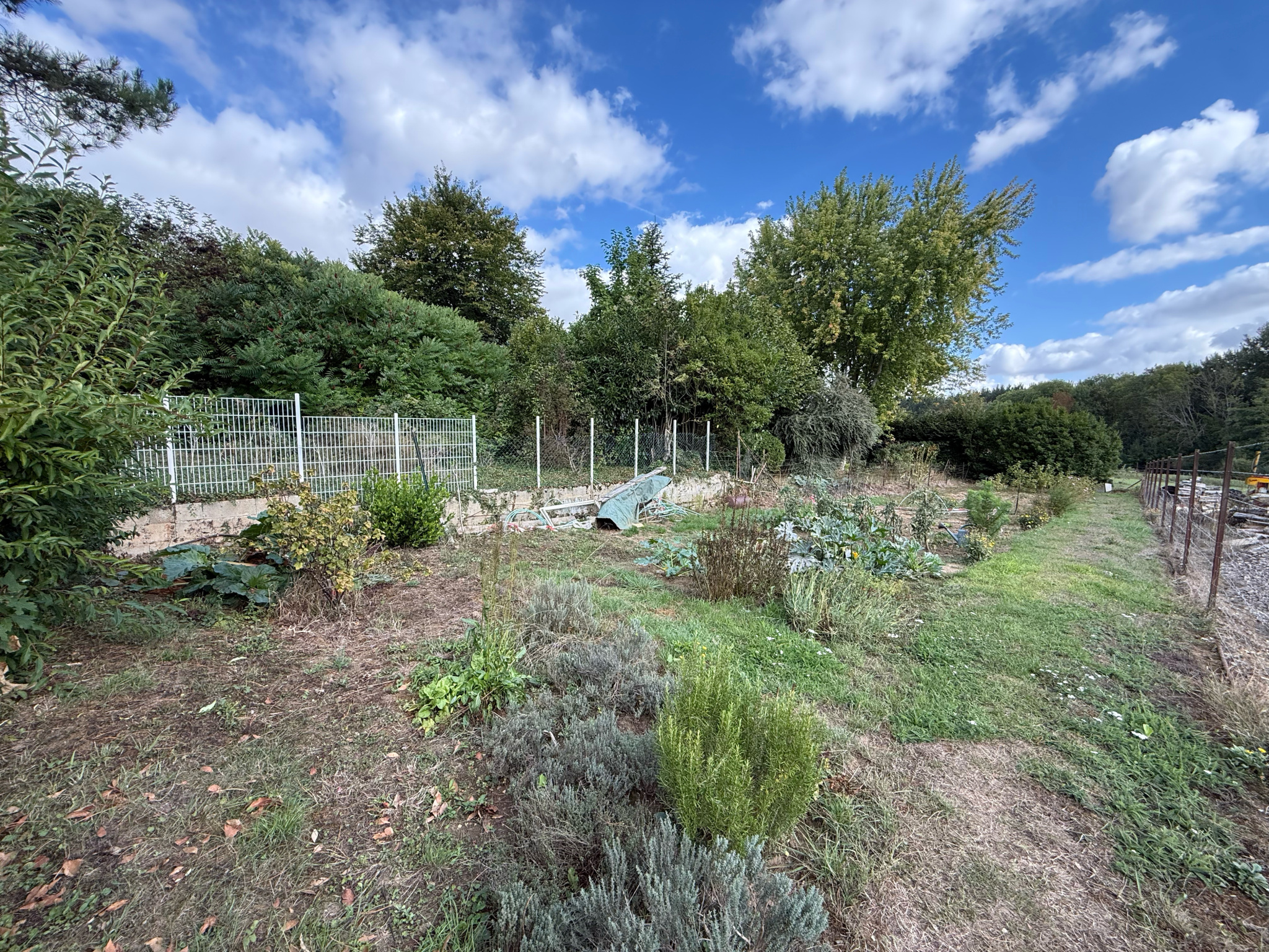 Immo80 – L'immobilier à Amiens et dans la Somme-BECQUIGNY – ANCIEN CORPS DE FERME – MAISON – DEPENDANCES – JARDIN – VIVABLE DE PLAIN PIED