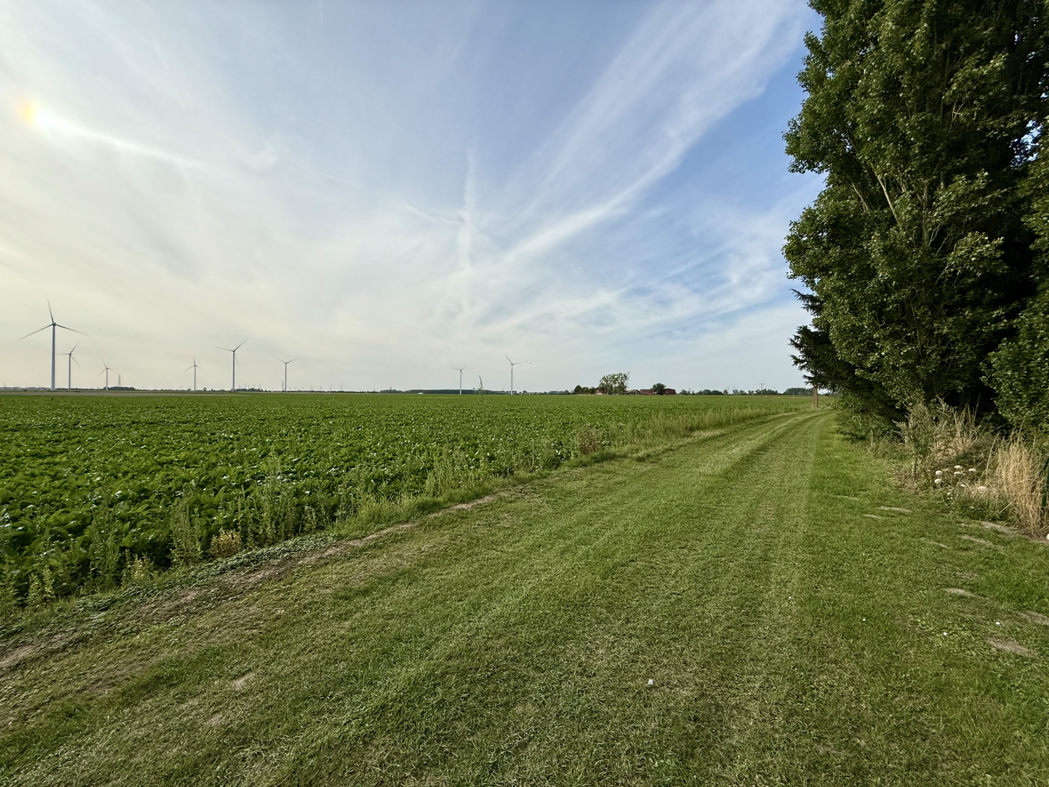 Immo80 – L'immobilier à Amiens et dans la Somme-VERPILLERES – TERRAIN A BATIR – 2042m2