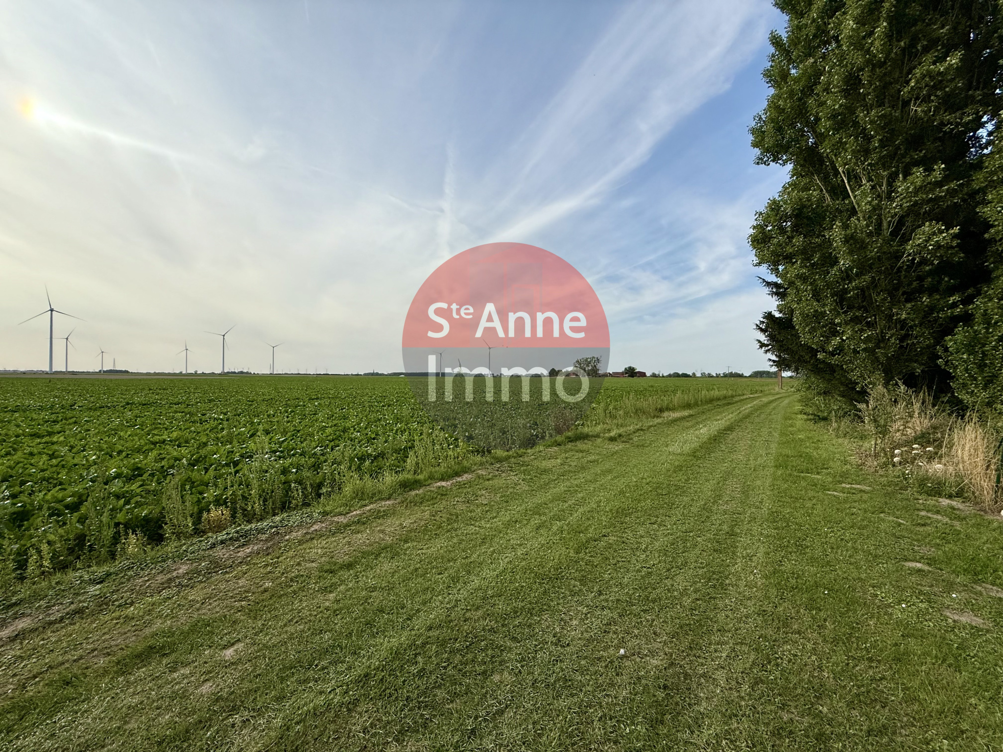 Immo80 – L'immobilier à Amiens et dans la Somme-VERPILLERES – TERRAIN A BATIR – 2042m2