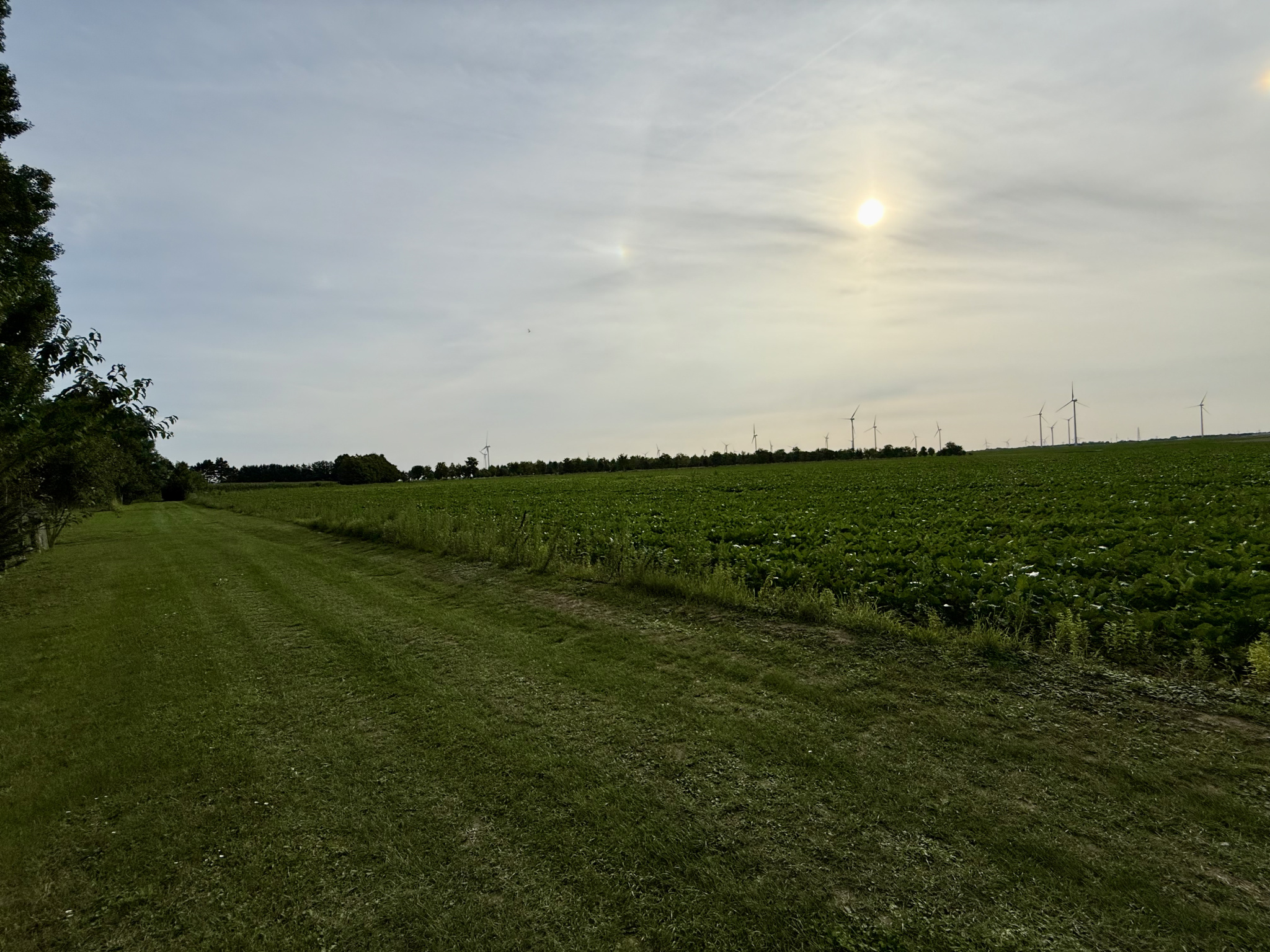 Immo80 – L'immobilier à Amiens et dans la Somme-VERPILLERES – TERRAIN A BATIR – 2042m2