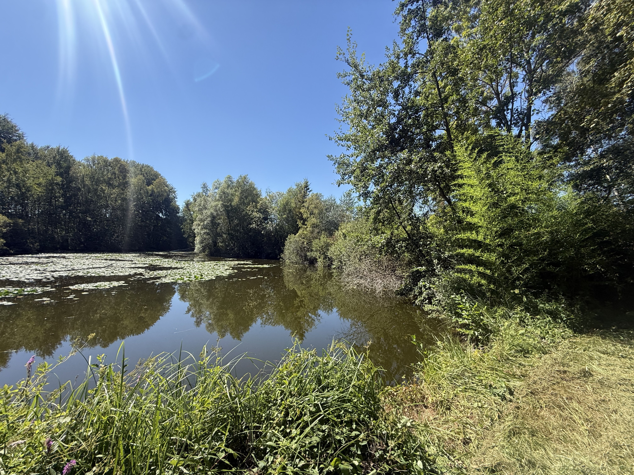 Immo80 – L'immobilier à Amiens et dans la Somme-MOREUIL – CASTEL – ETANG – DEPENDANCE