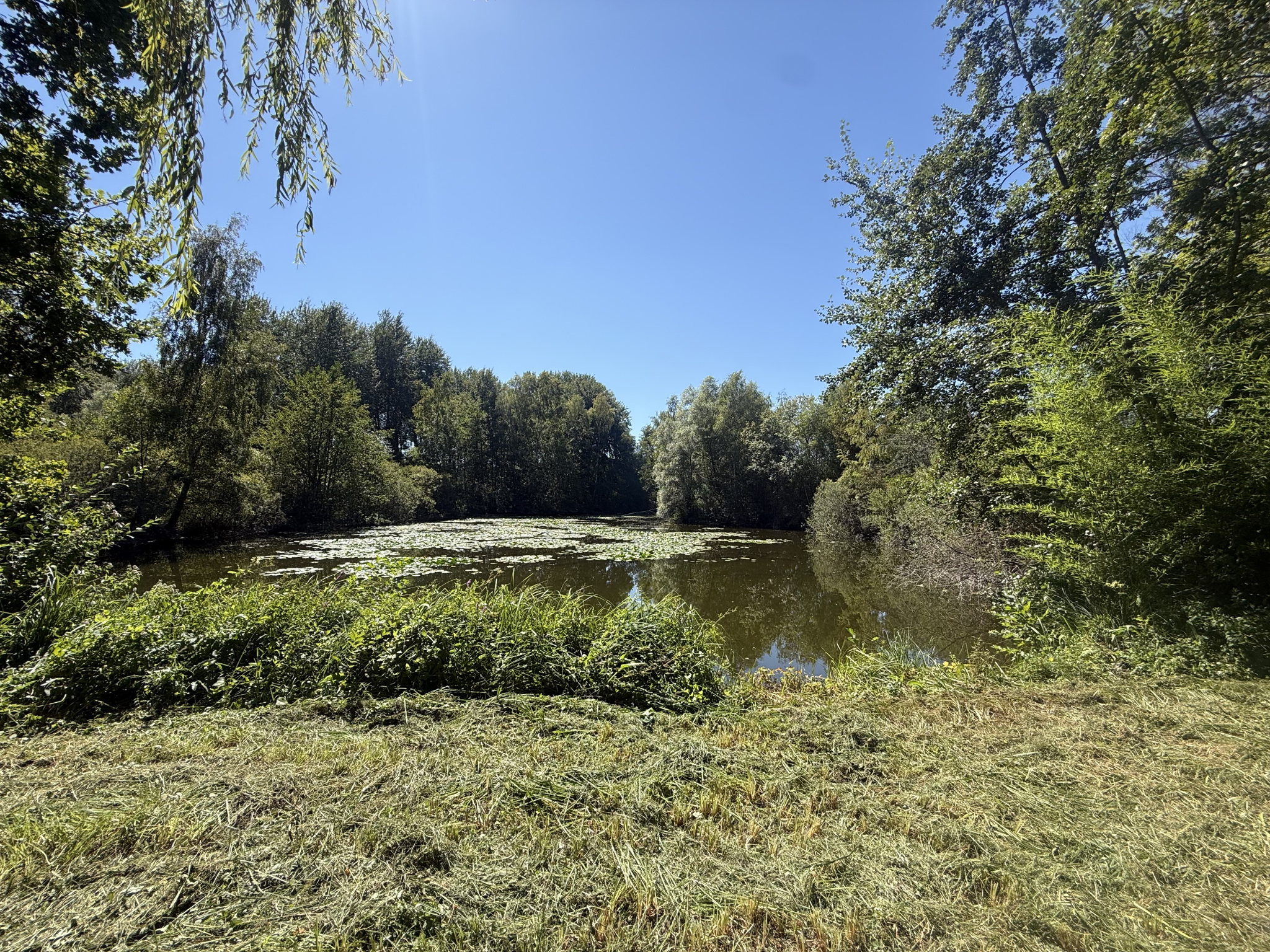 Immo80 – L'immobilier à Amiens et dans la Somme-MOREUIL – CASTEL – ETANG – DEPENDANCE