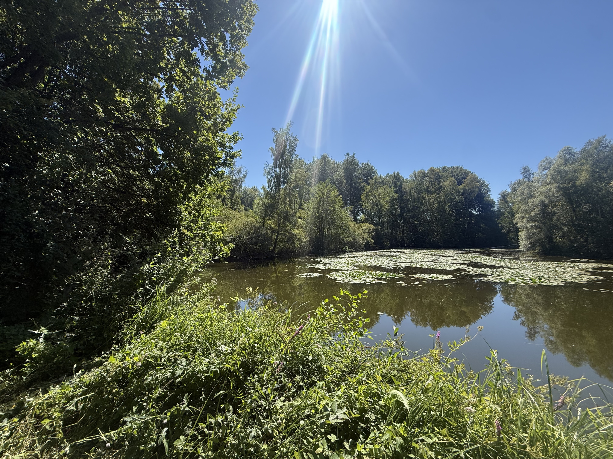 Immo80 – L'immobilier à Amiens et dans la Somme-MOREUIL – CASTEL – ETANG – DEPENDANCE