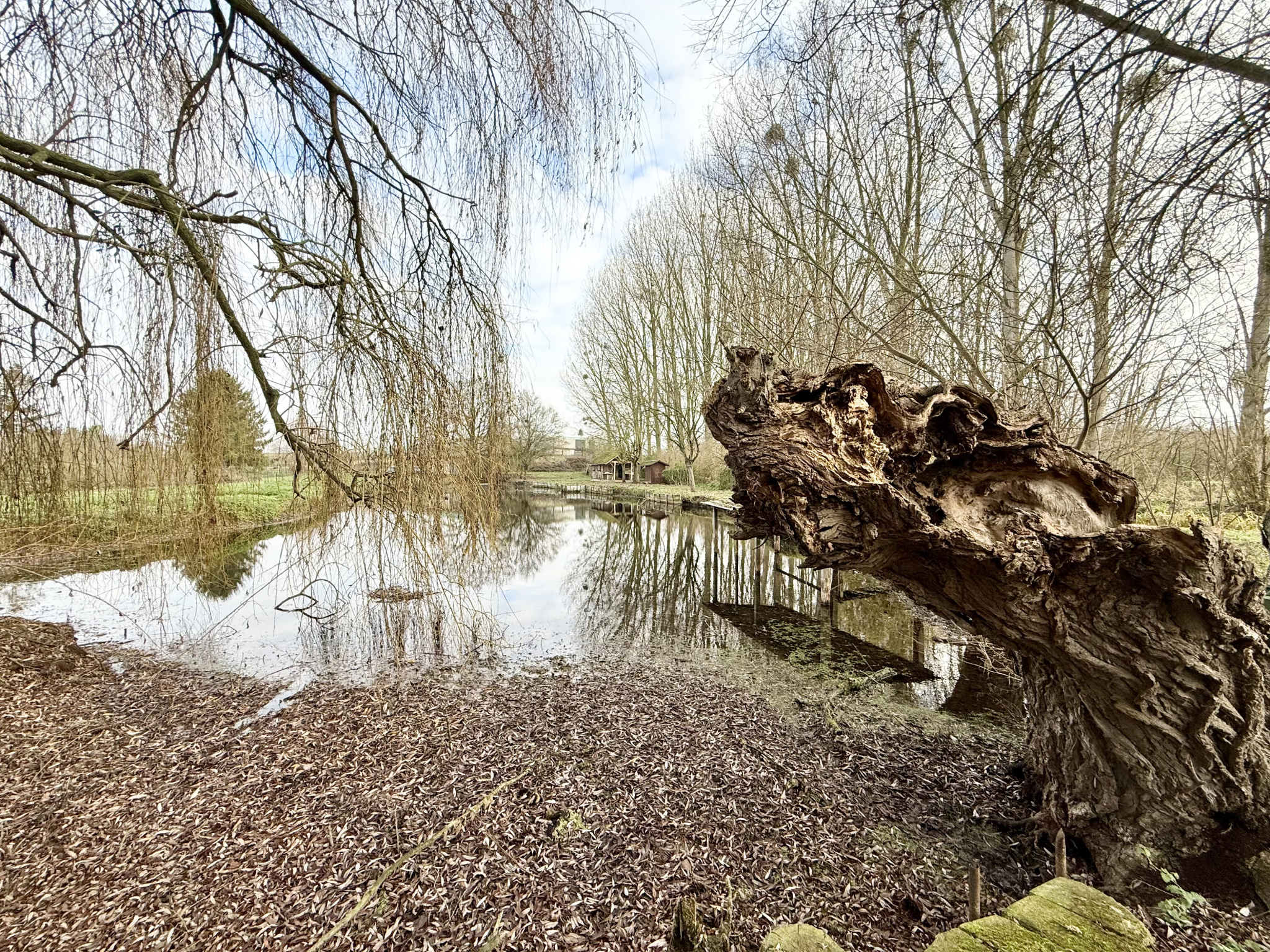 Immo80 – L'immobilier à Amiens et dans la Somme-BUNY – ETANG – CHALET – EAU – TERRAIN