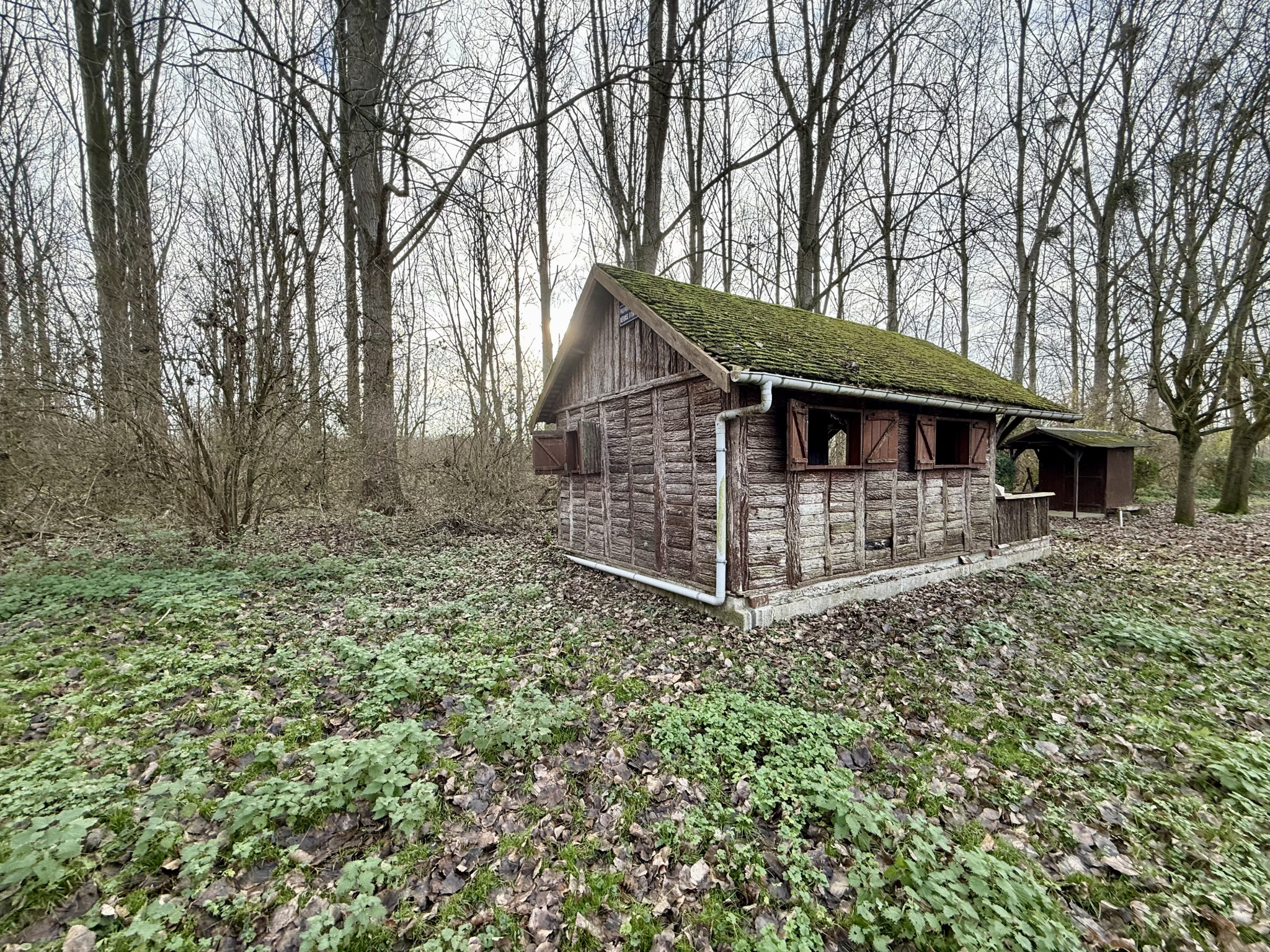 Immo80 – L'immobilier à Amiens et dans la Somme-BUNY – ETANG – CHALET – EAU – TERRAIN